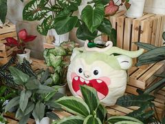 -云溪植物园
