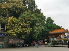 -小洲村