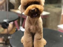 -樱桃家的宠物店(君安花园店)