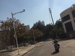 -广西大学(大学东路校区)