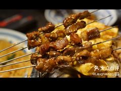 -鼎原力量东北吊炉烧烤(临河街店)