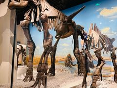 -国家自然博物馆