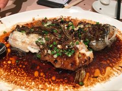 油浸野生笋壳鱼-陶陶居海鲜酒家(新马路店)