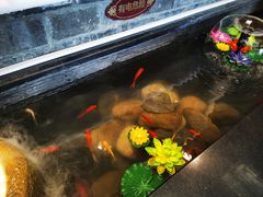-红鼎坊·老成都火锅(新南门店)
