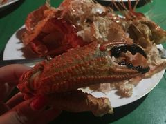 -Green Lobster Waskaduwa Seafood Restaurant