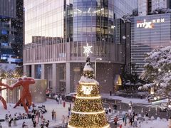 -深圳湾万象城(南山店)