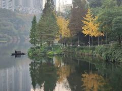 -重庆彩云湖湿地公园