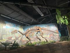 -辽宁古生物博物馆