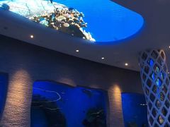-瑞德姆美人鱼海底演艺主题餐厅(亚龙湾店)