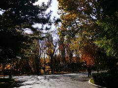 -钓鱼台国宾馆