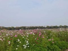 -嘉北郊野公园