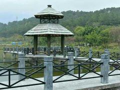 湖边水径-田野绿世界