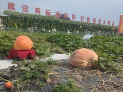 -长春农业博览园