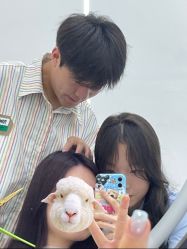 点击看大图 -G-SAGA形象设计