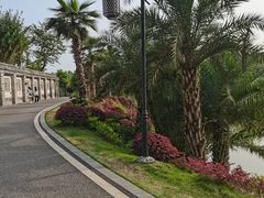 -枫香湖儿童公园