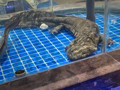 -501號台州海鲜餐厅(海创园店)