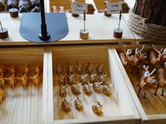 -北京周口店北京人遗址博物馆