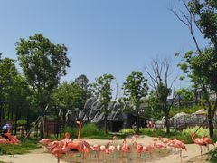 -武汉动物园