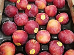 -百果园PAGODA(西四地铁站店)