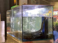 -本炙炭烤·蒲烧活鳗料理店(金沙洲店)