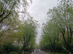 -石湖景区