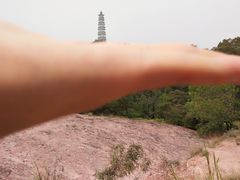 -榴花公园