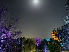 -苏州吴宫泛太平洋酒店