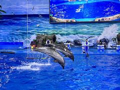 -多彩贵州城极地海洋世界