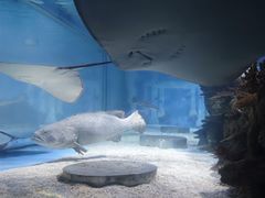 -成都浩海立方海洋公园