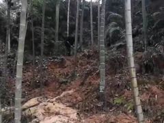 -灵山