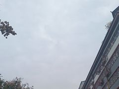 -一记洛阳菜·糖醋小排·水席(十字街店)