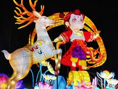 -武汉园博园(武汉自然博物馆)