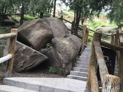 -白水寺森林公园