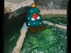 -大理地热国