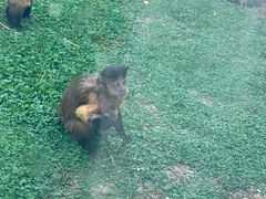 -合肥野生动物园