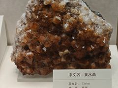 -天津自然博物馆