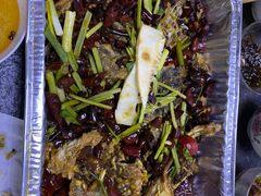 -老板恋上鱼(印象城店)