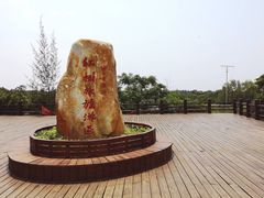 -东寨港红树林旅游区