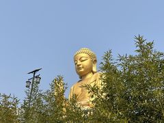 -大伊山景区