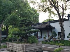 -上海醉白池公园