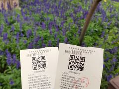 -龙凤山庄影视度假村