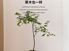 -柏乐口腔(南宁总院)