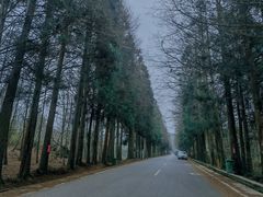 -山王坪喀斯特国家生态公园