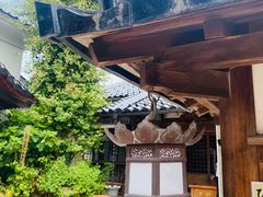 -金泽21世纪美术馆