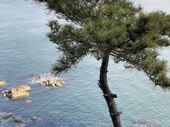-燕窝岭
