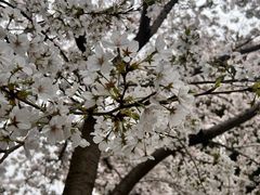 -川沙古镇-停车场