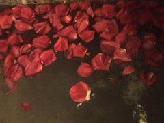 -奥帕拉拉水公园