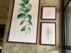 -星巴克(深圳宝安泰华店)