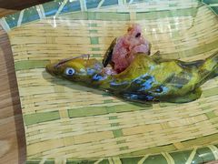 -铭记蛙小仙·活蛙畅享(CBD万达广场店)