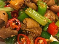 辣爆肥肠面-文三里屯面馆(三里屯店)